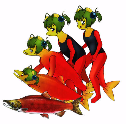 Salmon Morph (2023)